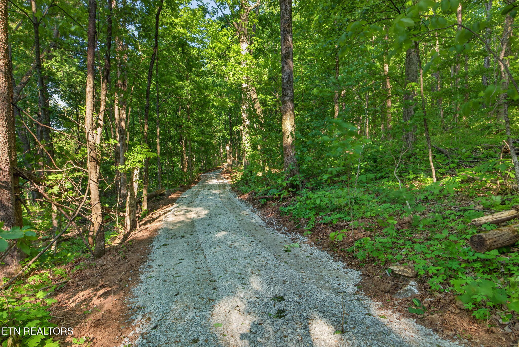 23 Acres Moore Cove Road Sparta TN 38583