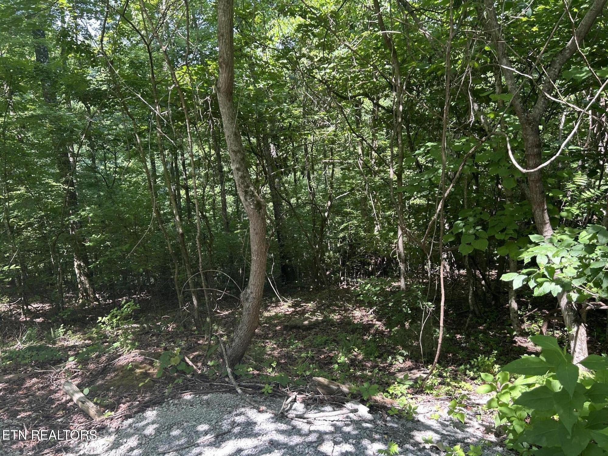 Lot 714 Russell Brothers Road Sharps Chapel TN 37866