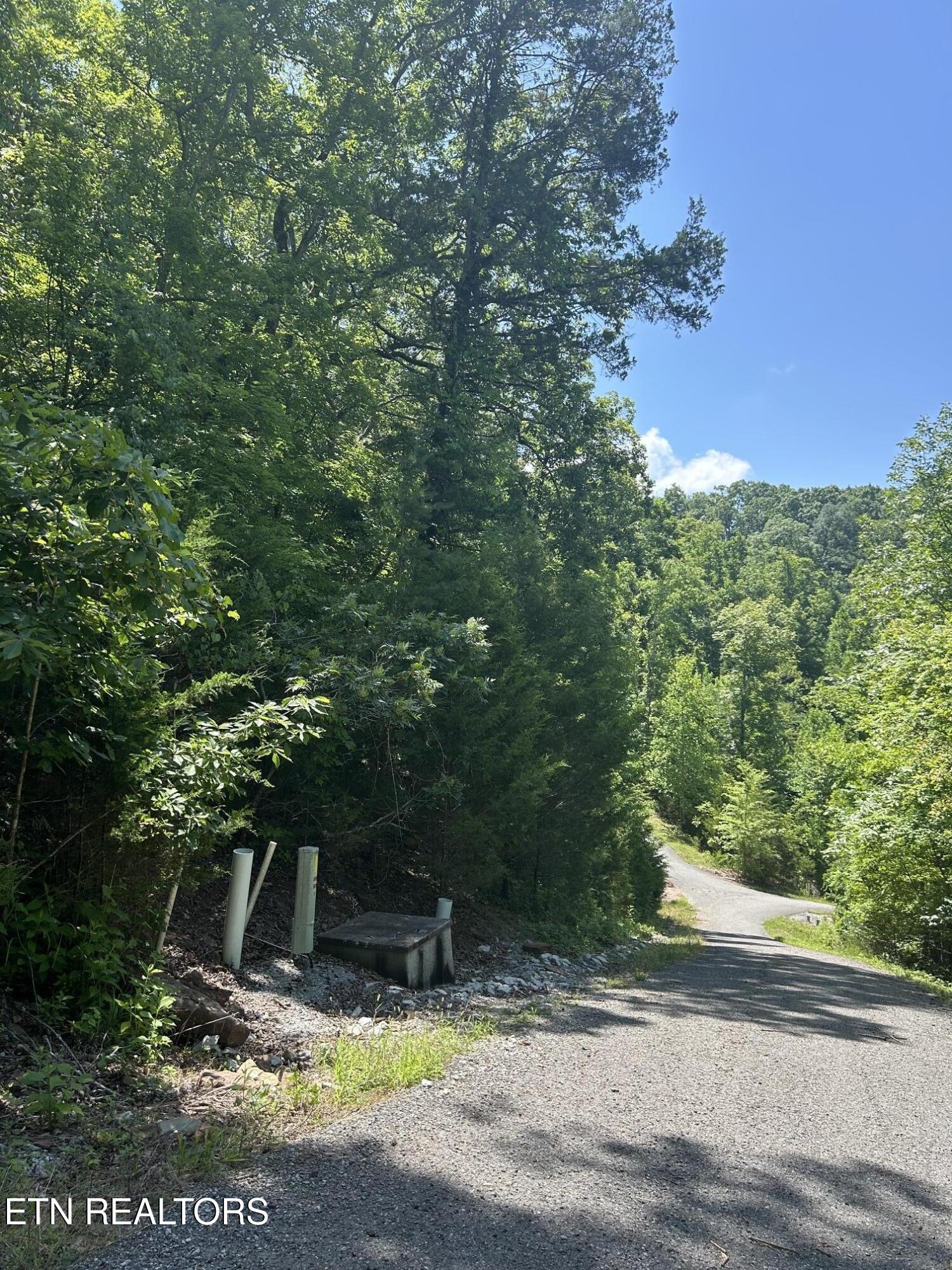 Lot 714 Russell Brothers Road Sharps Chapel TN 37866