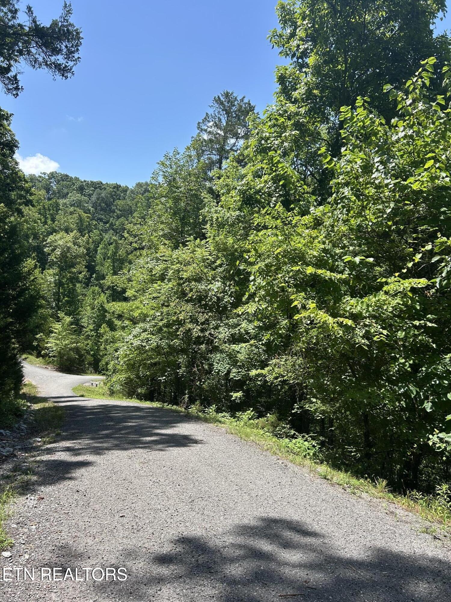 Lot 714 Russell Brothers Road Sharps Chapel TN 37866