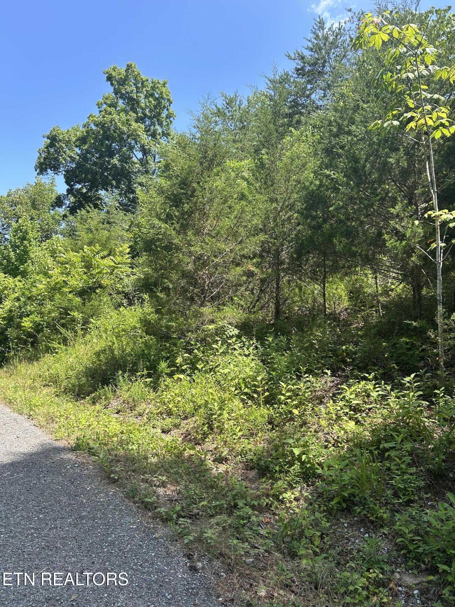 Lot 714 Russell Brothers Road Sharps Chapel TN 37866