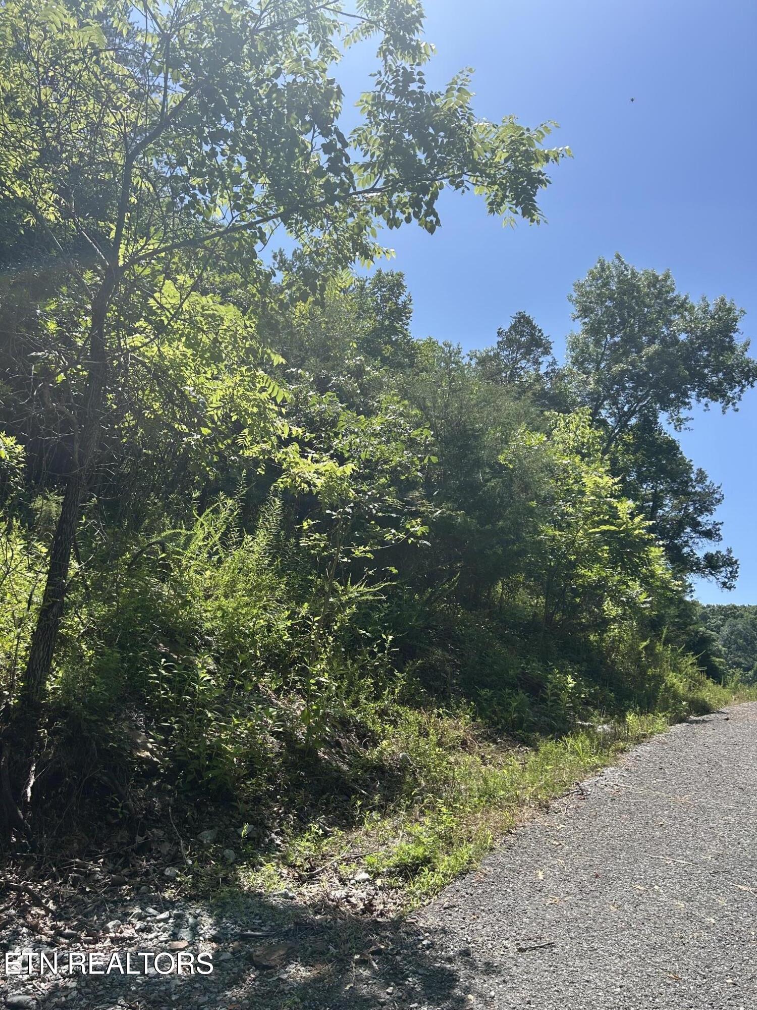 Lot 714 Russell Brothers Road Sharps Chapel TN 37866