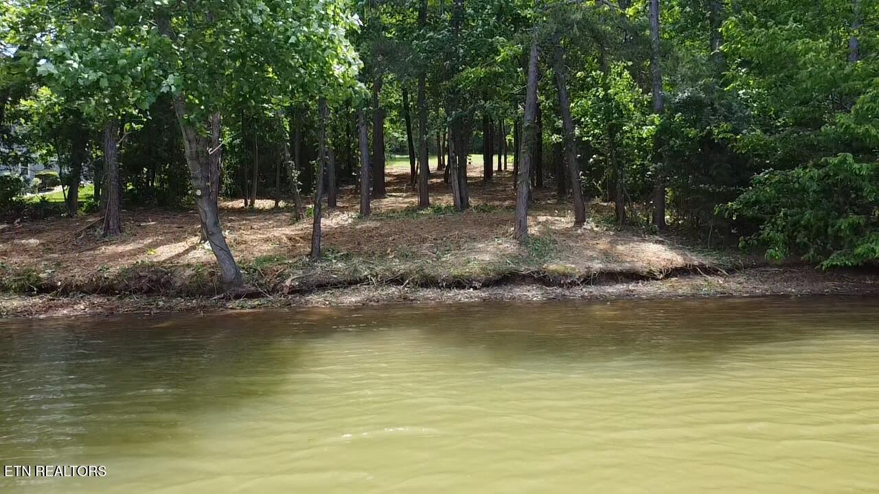 764 Wood Duck Drive Vonore TN 37885