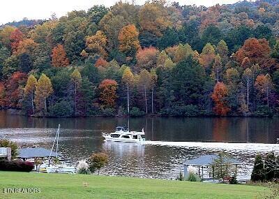 764 Wood Duck Drive Vonore TN 37885