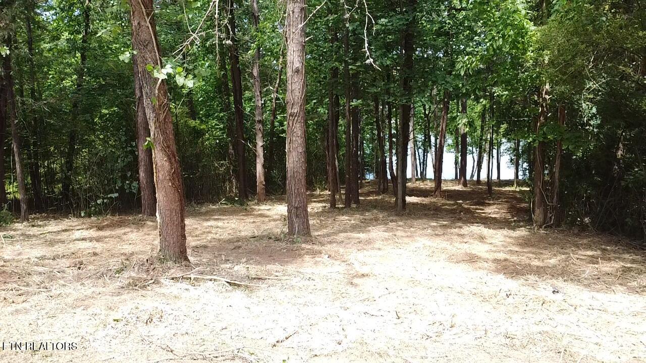 764 Wood Duck Drive Vonore TN 37885