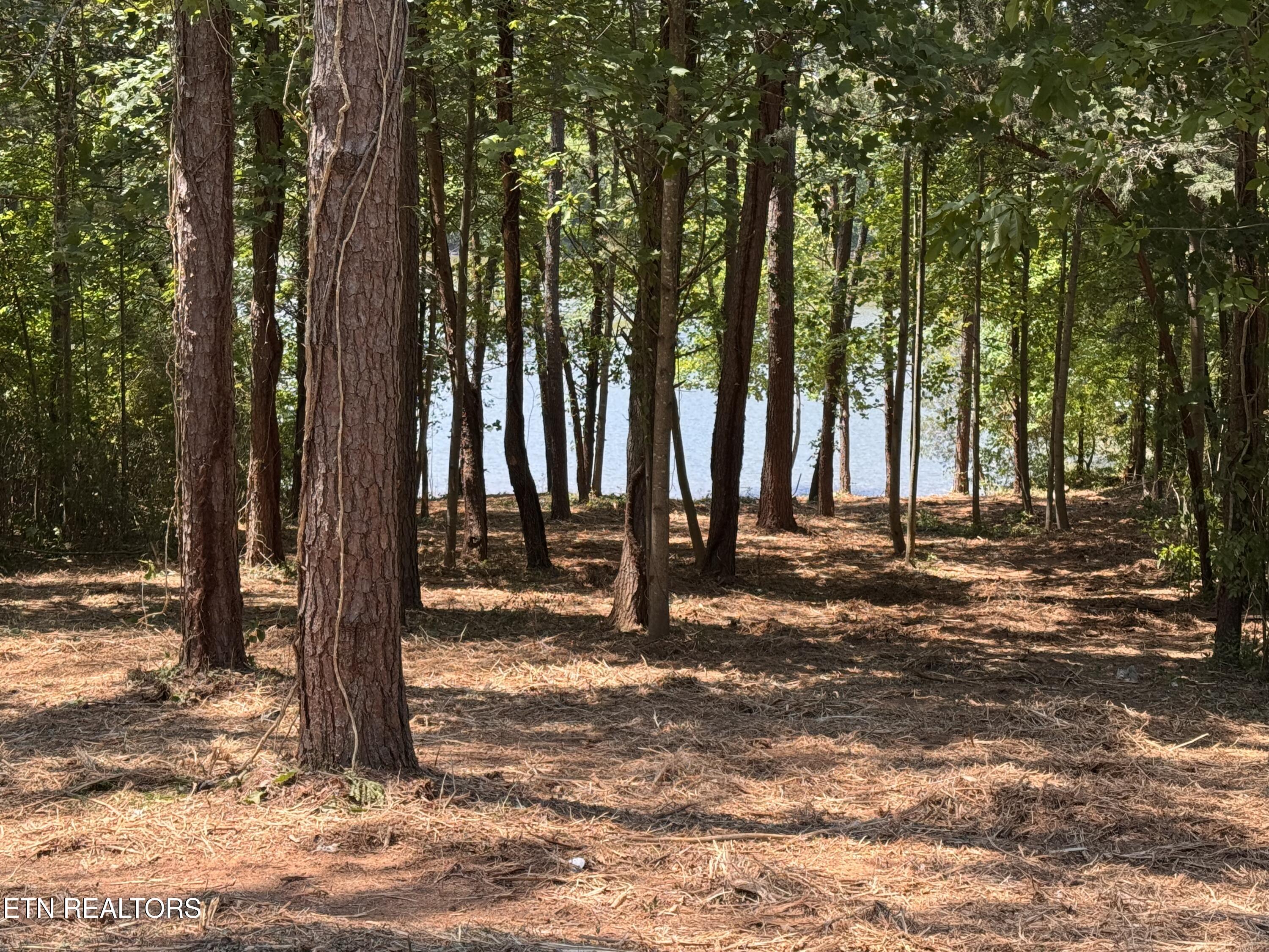 764 Wood Duck Drive Vonore TN 37885