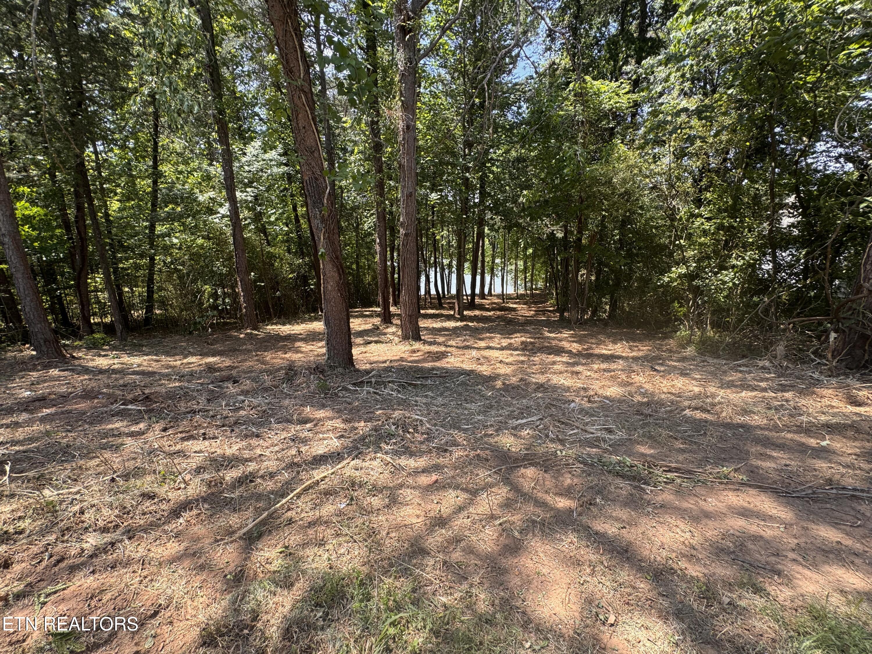 764 Wood Duck Drive Vonore TN 37885