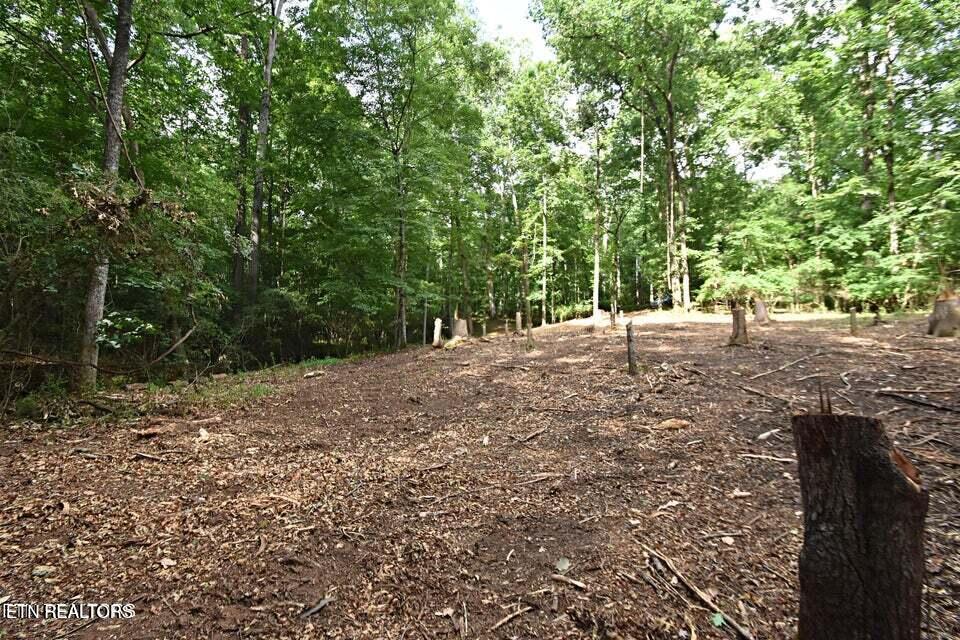 0 Early Road Knoxville TN 37922