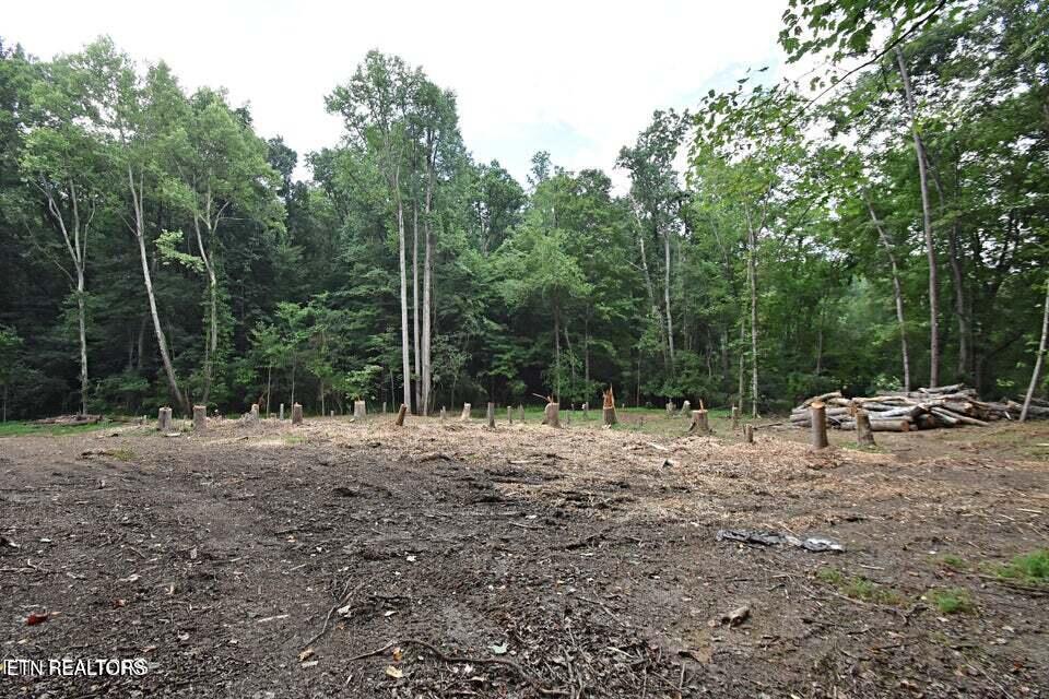 0 Early Road Knoxville TN 37922