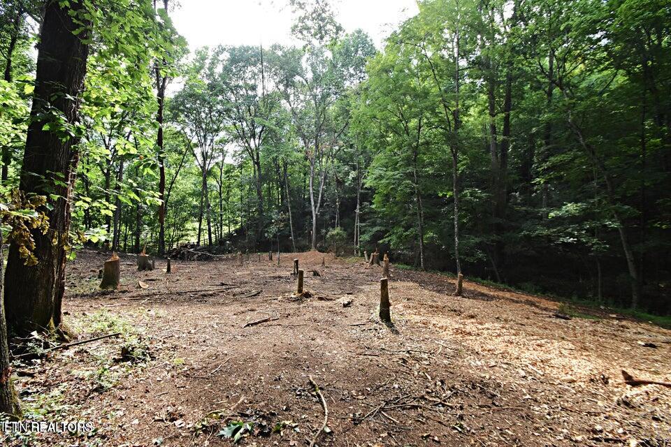 0 Early Road Knoxville TN 37922