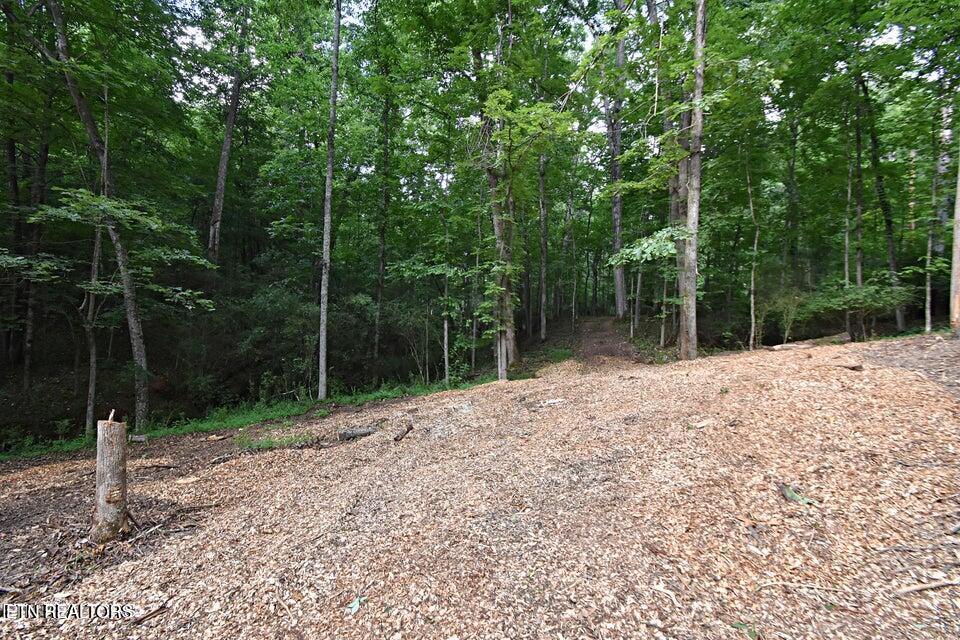 0 Early Road Knoxville TN 37922