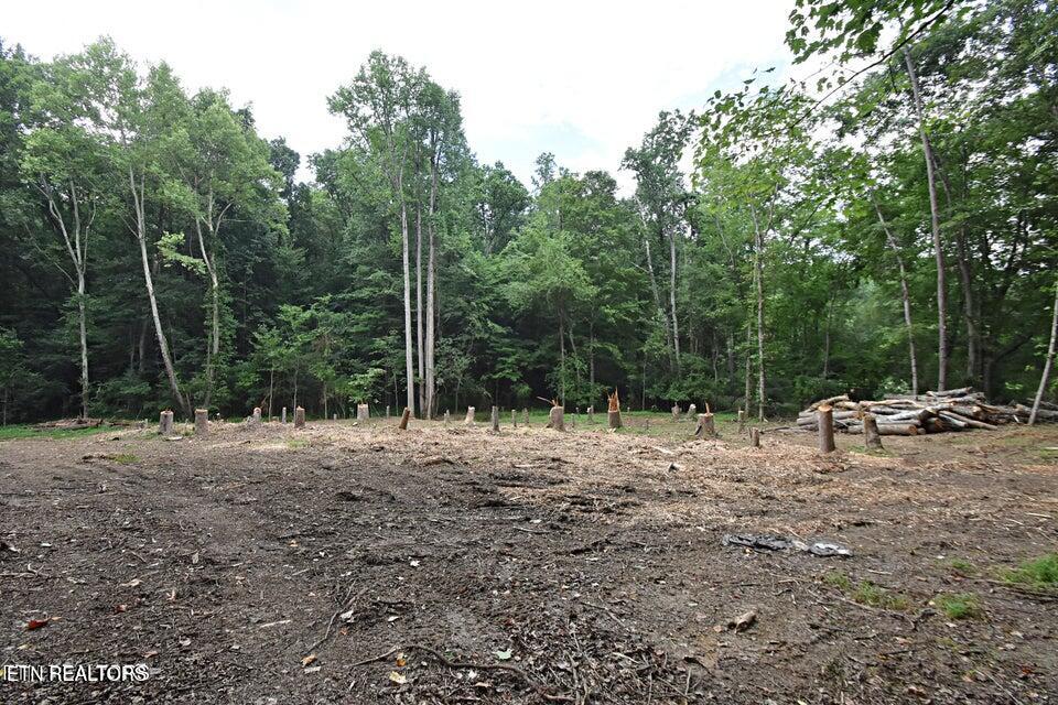 0 Early Road Knoxville TN 37922