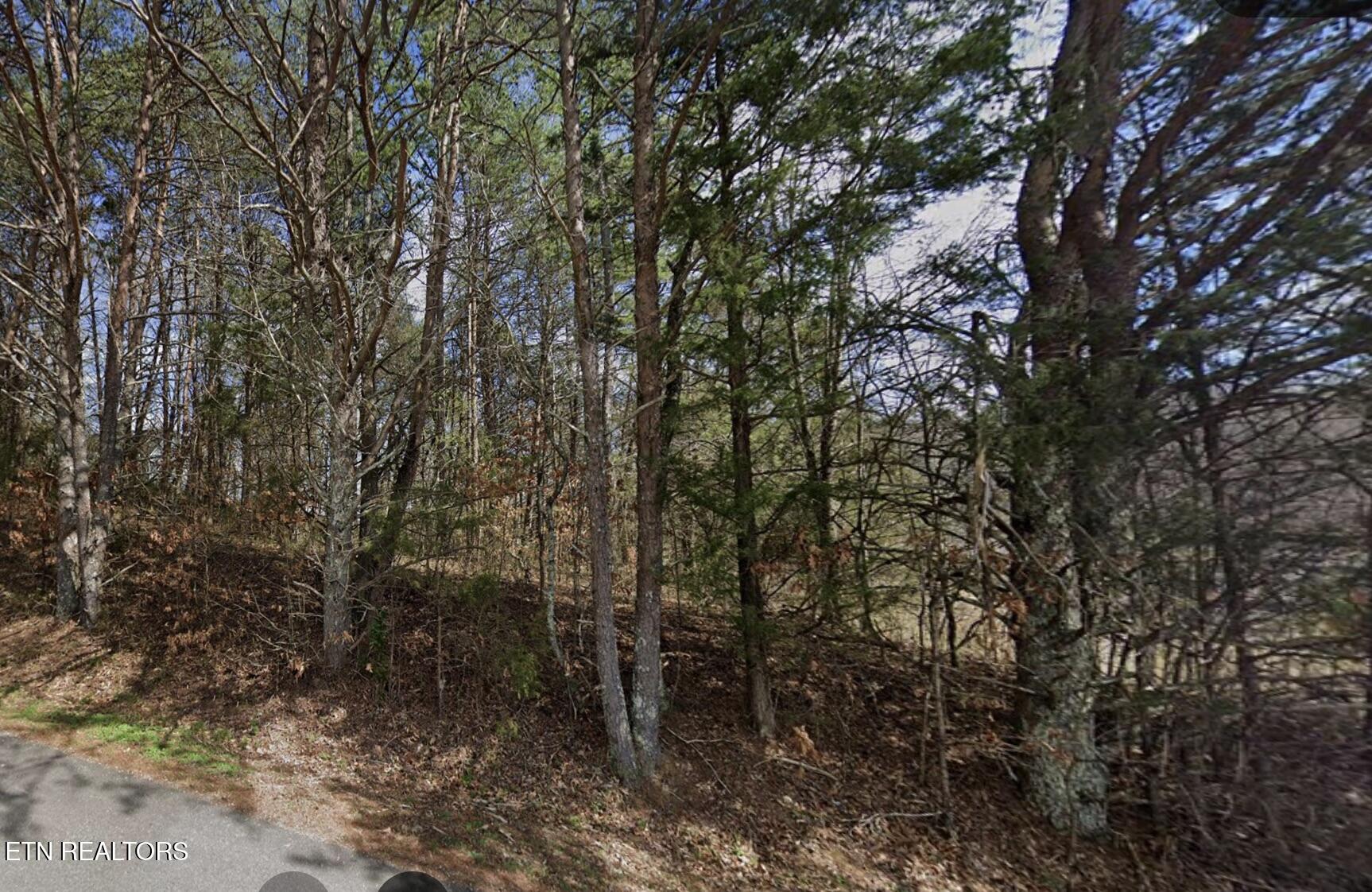 Jones Lane Clinton TN 37716