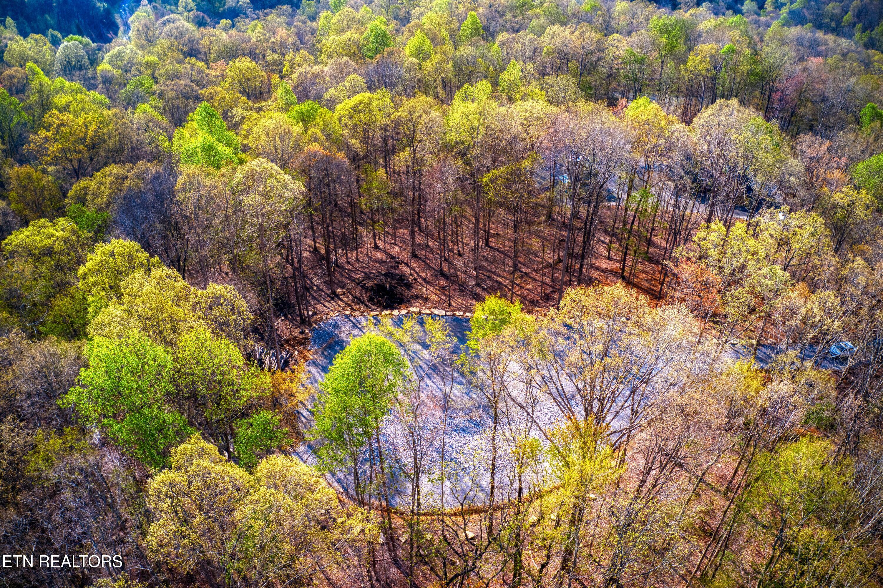317 Cheyenne Drive Jamestown TN 38556