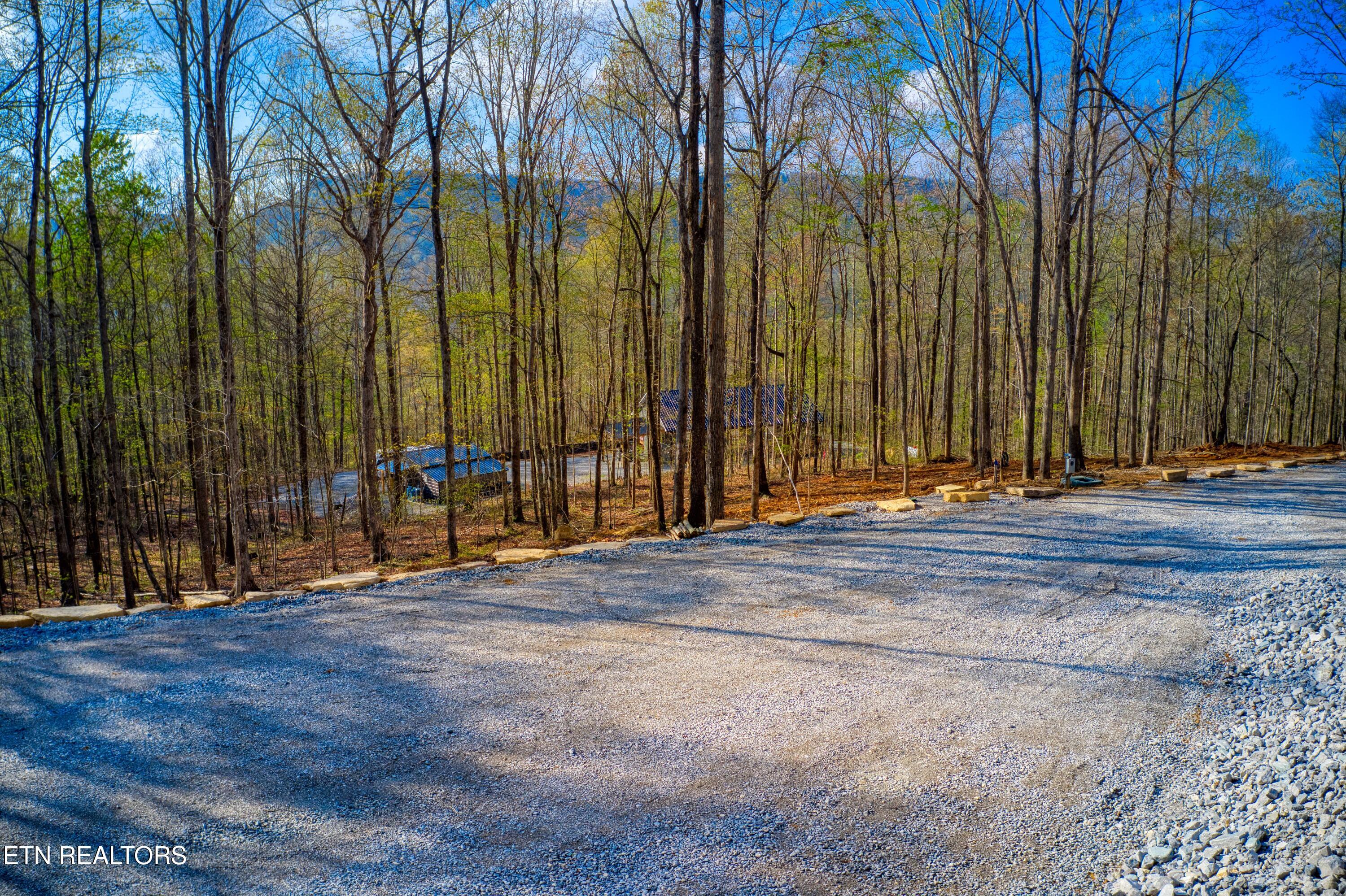 317 Cheyenne Drive Jamestown TN 38556