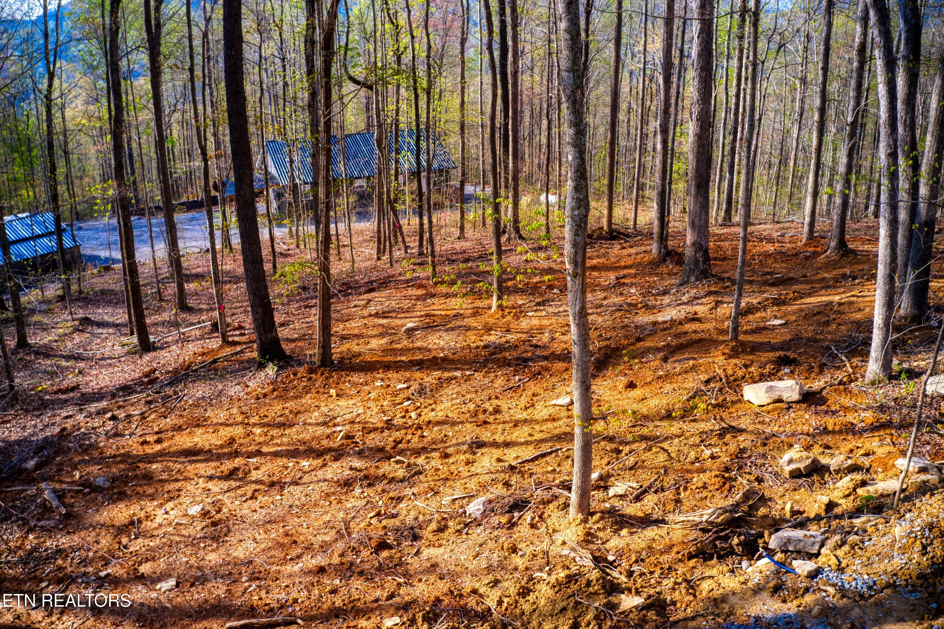 317 Cheyenne Drive Jamestown TN 38556
