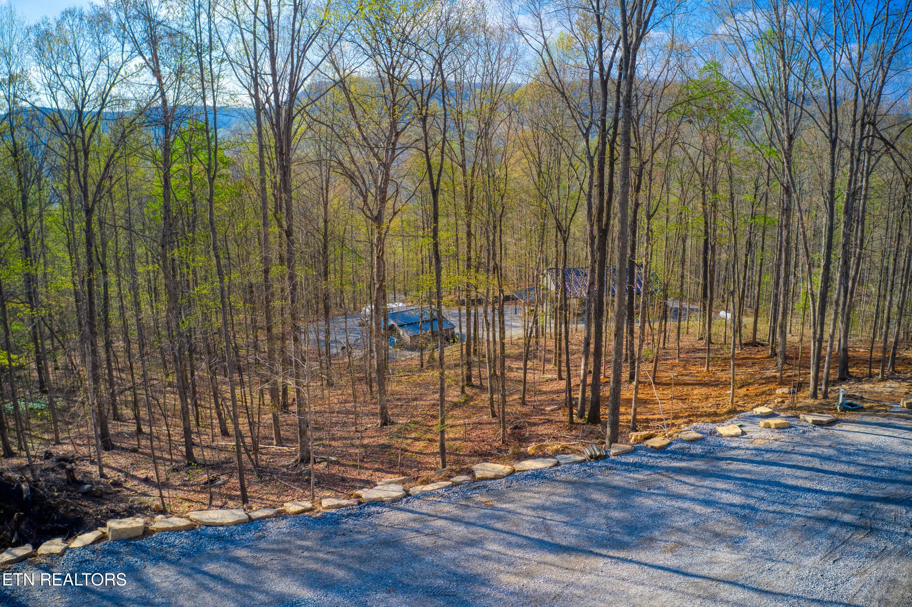 317 Cheyenne Drive Jamestown TN 38556