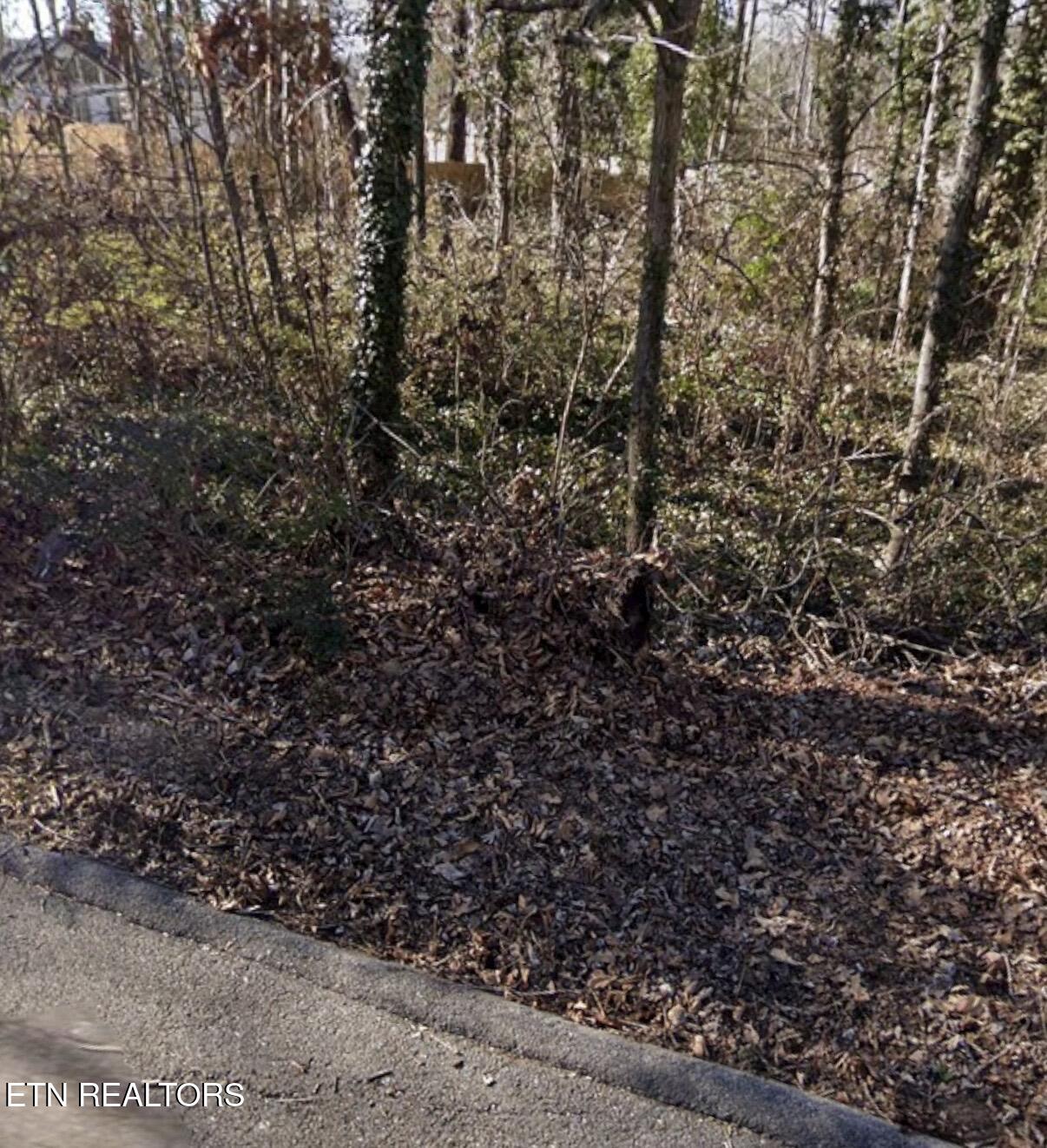 301 Wilona Lane Knoxville TN 37922