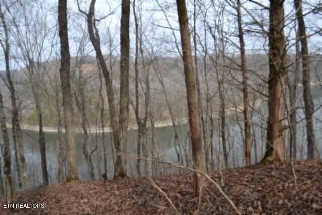 6.49AC Garrett Town Lane Monroe TN 38573