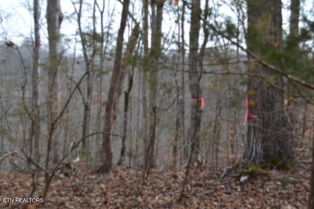 6.49AC Garrett Town Lane Monroe TN 38573
