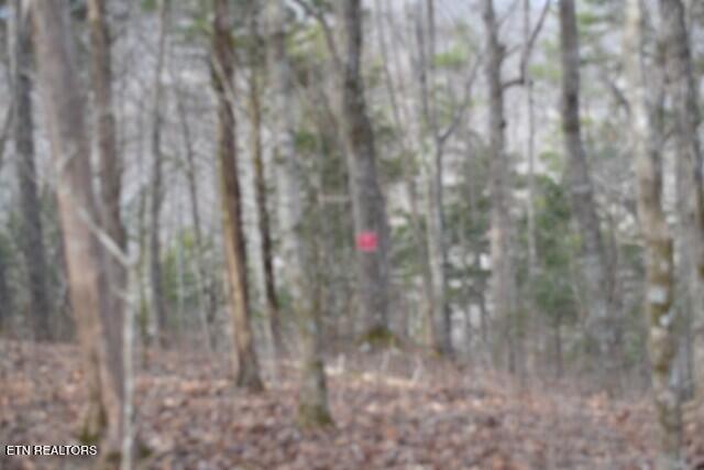 6.49AC Garrett Town Lane Monroe TN 38573