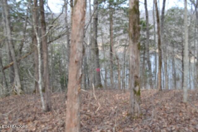 6.49AC Garrett Town Lane Monroe TN 38573