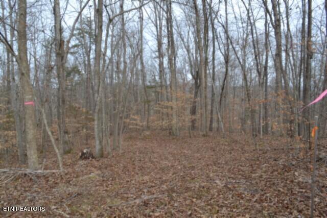 6.49AC Garrett Town Lane Monroe TN 38573