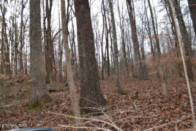 6.49AC Garrett Town Lane Monroe TN 38573