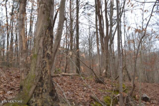 6.49AC Garrett Town Lane Monroe TN 38573