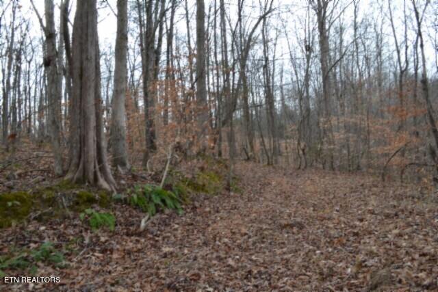 6.49AC Garrett Town Lane Monroe TN 38573