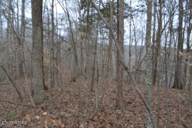 6.49AC Garrett Town Lane Monroe TN 38573
