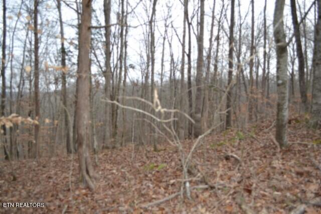 6.49AC Garrett Town Lane Monroe TN 38573