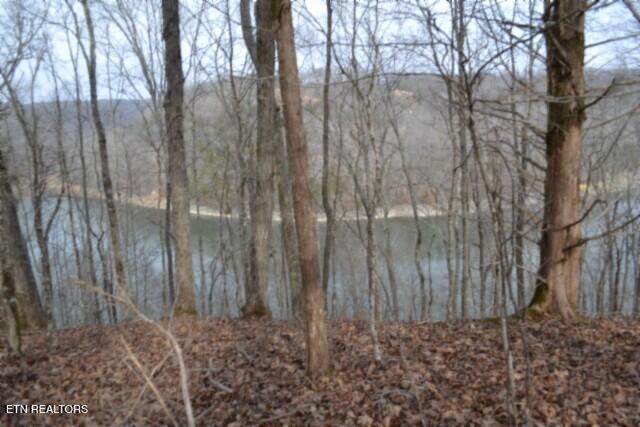 6.49AC Garrett Town Lane Monroe TN 38573