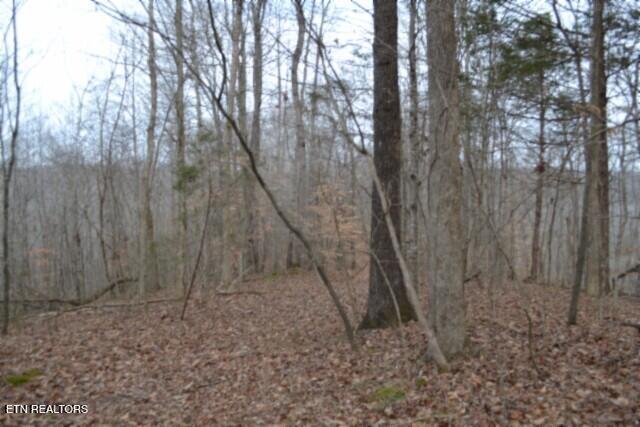 6.49AC Garrett Town Lane Monroe TN 38573