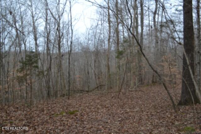 6.49AC Garrett Town Lane Monroe TN 38573