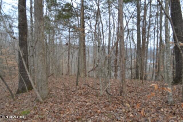 6.49AC Garrett Town Lane Monroe TN 38573