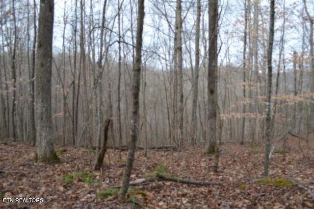 6.49AC Garrett Town Lane Monroe TN 38573