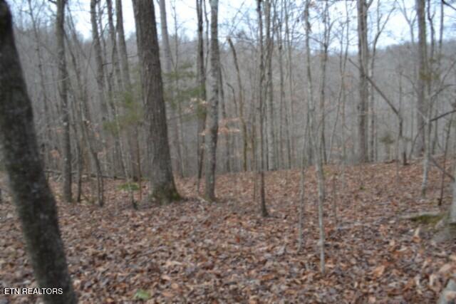 6.49AC Garrett Town Lane Monroe TN 38573