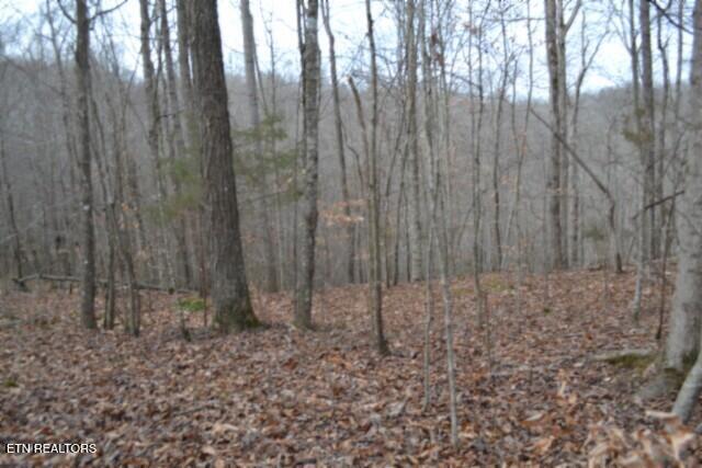6.49AC Garrett Town Lane Monroe TN 38573