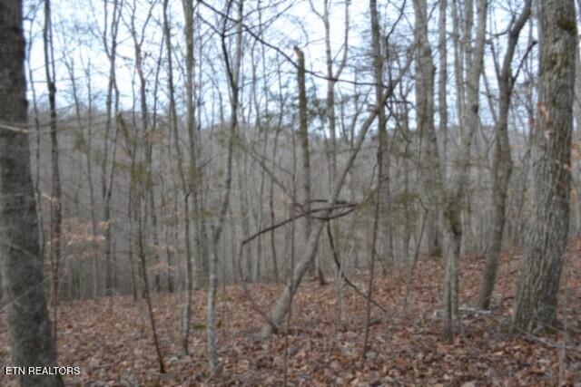 6.49AC Garrett Town Lane Monroe TN 38573