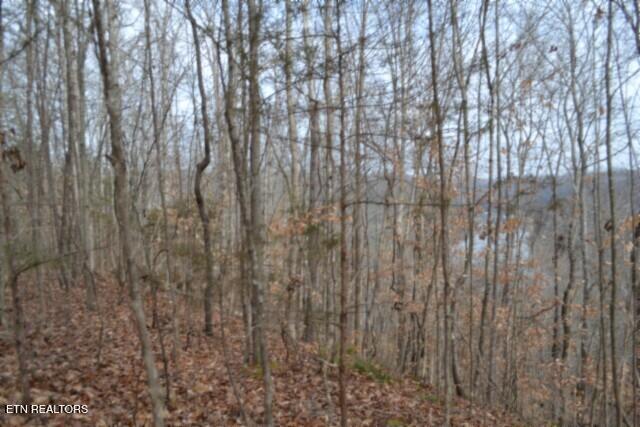 6.49AC Garrett Town Lane Monroe TN 38573