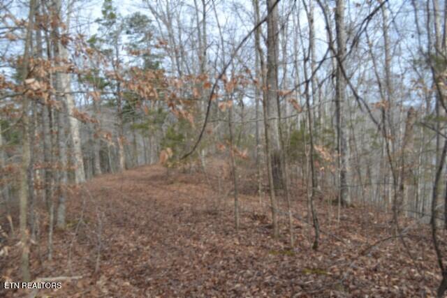 6.49AC Garrett Town Lane Monroe TN 38573