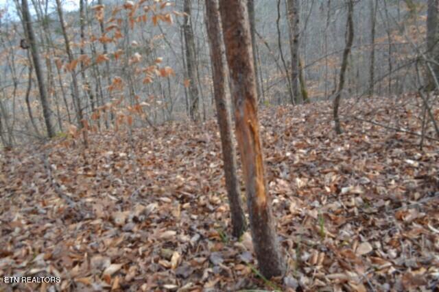 6.49AC Garrett Town Lane Monroe TN 38573