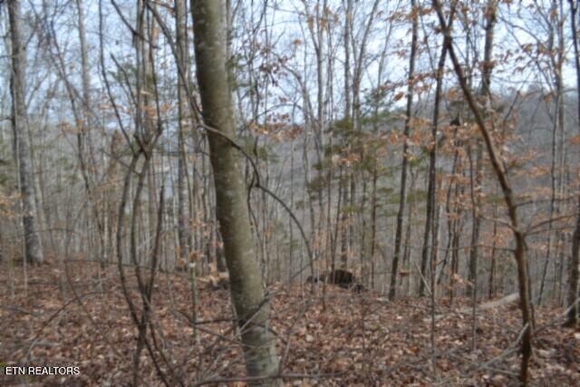 6.49AC Garrett Town Lane Monroe TN 38573