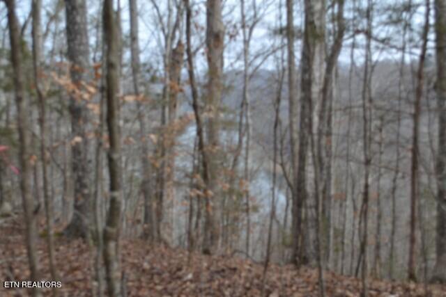 6.49AC Garrett Town Lane Monroe TN 38573