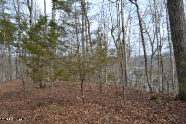 6.49AC Garrett Town Lane Monroe TN 38573