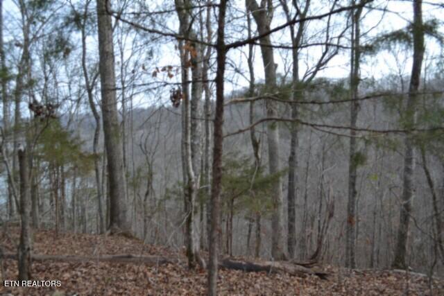 6.49AC Garrett Town Lane Monroe TN 38573