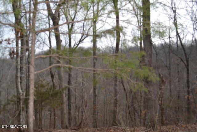 6.49AC Garrett Town Lane Monroe TN 38573