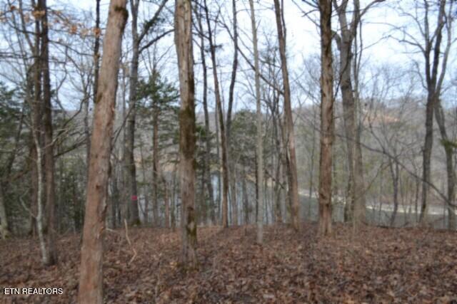 6.49AC Garrett Town Lane Monroe TN 38573
