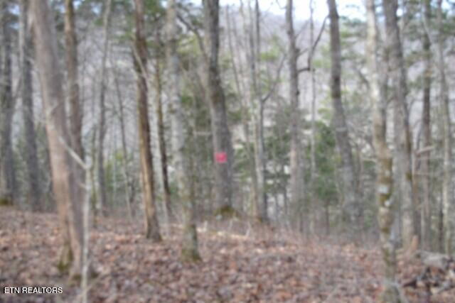 6.49AC Garrett Town Lane Monroe TN 38573